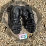Nike Air Max TN Plus Triple Black Image 4