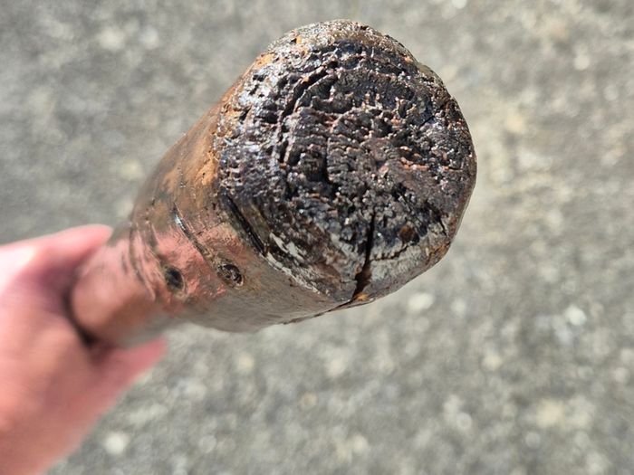 For Sale: Authentic Handcrafted Vine-In Irish Walking Stick 98cm
