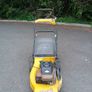 Castlegarden flash lawnmower Image 2