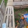Free Wood Image 2
