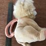 Young Lion Handbag Image 4