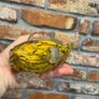 vintage Glass fish Image 8