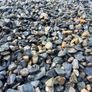 Load Of 20mm Washed Pebble Image 7