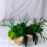 Handmade home deco-  preserved moss Image 3