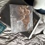 Elden ring collectors edition ps5 Image 4