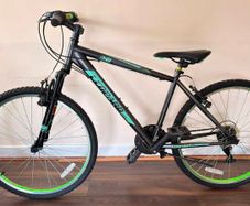 Leopard 26" Kids Mountain Bike - 18 Gears, Serviced & Ready to Ride