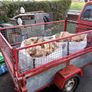 large amount logs &firewood Image 9