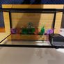 Interpet AquaPod 56L Aquarium, CF1 Filter & Extras Image 5