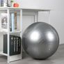 65 Cm Gym Yoga Ball Exercise Swiss Fitness Pregnancy Birthing Anti Burst + Pump Image 4