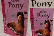 My Adorable Pony Story Book