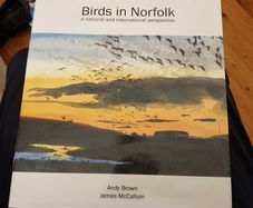 . Birds In Norfolk. A National & International Perspective By Andt Brown FABOLOUS LARGE VOLUME BOOK. In very good condition. . James Mccallum.