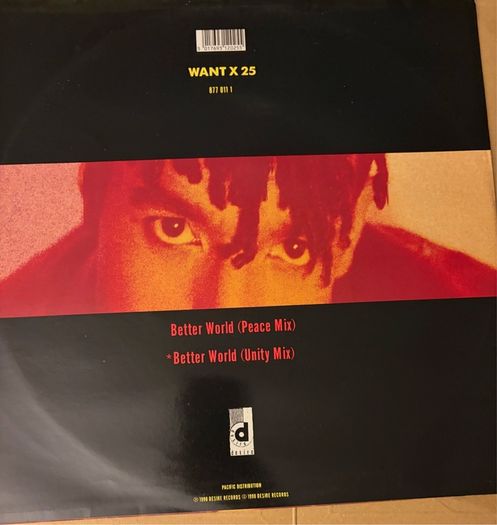 Rebel MC Better World Original 1990 12 Vinyl Peace Unity Mixes