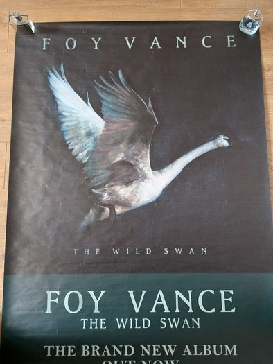 Massive Foy Vance Poster for "The Wild Swan"