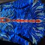 Irish Dancing Dress Image 3