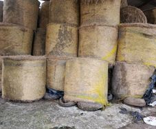 Fine quality hay