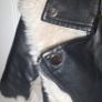 ladies jacket Image 4