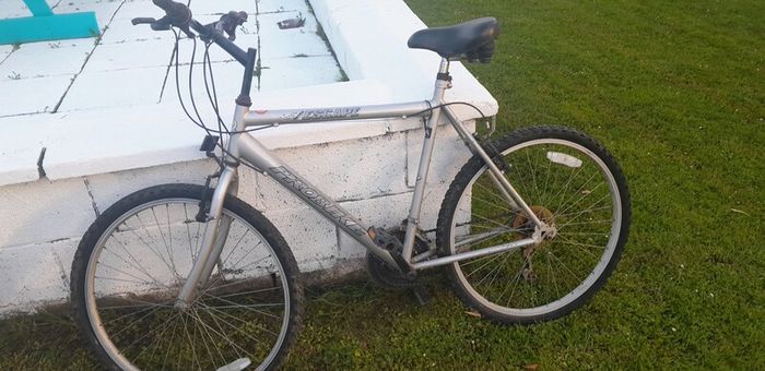 2 bikes for sale, need work