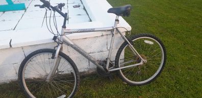 2 bikes for sale, need work