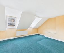 Carpet
