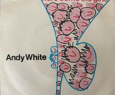 Andy White - Here Come the Girls.  Seven inch single. Residue from a price tag on side one label. Cover is nice and clean. Plays great.
