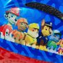 Paw Patrol Helmet For Sale Image 3