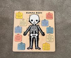 Human body wooden puzzle