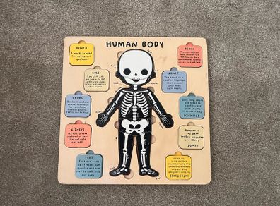 Human body wooden puzzle
