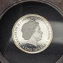 Solomon Islands 2020 Silver Proof 1 Dollar 75th Anniversary VE Day Image 4
