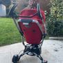 Quincy buggy Image 2