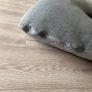pregnancy pillow Image 2