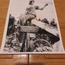 1967 Camelot Pressbook and Press Kit Photos Image 3