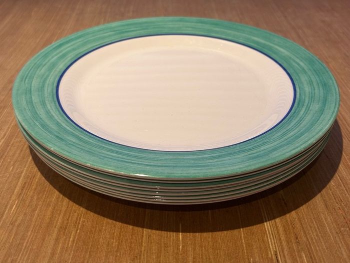 Melamine Dinner Plates (8)