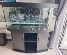 Aquarium - Juwel Vision 260