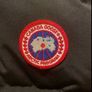 Canada Goose Image 3