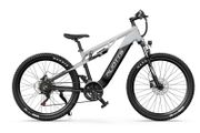 DUOTTS E29 Electric Bike