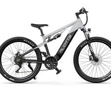 DUOTTS E29 Electric Bike
