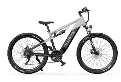 DUOTTS E29 Electric Bike