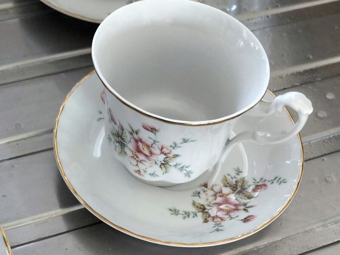 Aloe vera plants wirh Arpo fine China cups and saucers.
