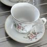 Aloe vera plants wirh Arpo fine China cups and saucers. Image 4