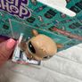 Littlest Pet Shop Bonnie Von Beaver 1-135 LPS Please see pictures Image 6
