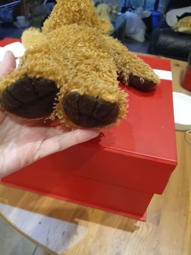 Brown Bear Jellycat