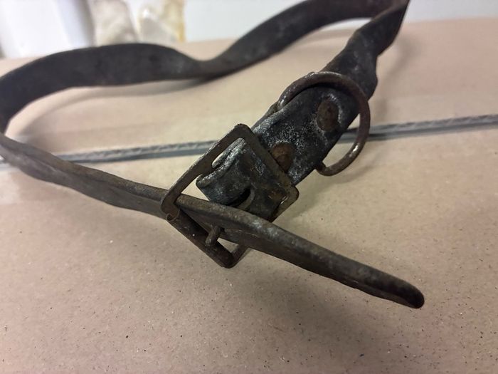 Antique leather horse harness strap