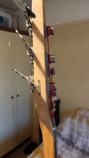 lakland skyline 55-01