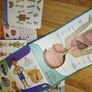 LeapFrog Tag World Map Activity Board, Activity Sets -Human Body, Letters, Numbers, ABC learn Chalkboard Image 8
