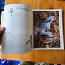 Good Faeries Bad Faeries. By Brian Fraud. First Edition Large Volume Paperback In Good Condition.  See Photos For Same. Image 9