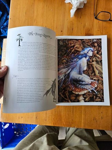 Good Faeries Bad Faeries. By Brian Fraud. First Edition Large Volume Paperback In Good Condition.  See Photos For Same.