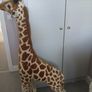 Giraffe Image 2