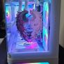 Angel Wings Ryzen 7 X3D RTX 5070 White Gaming PC Image 3