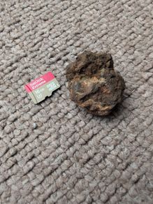 Meteorite Sericho pallasite 13.64