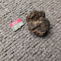 Meteorite Sericho pallasite 13.64